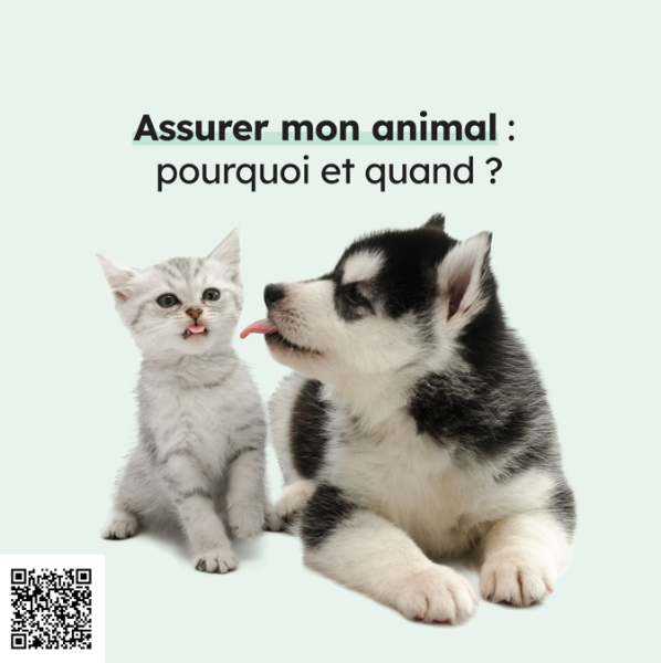 Avez vous pensé à assurer la santé de votre animal?
