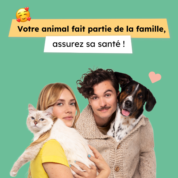 Avez vous pensé à assurer la santé de votre animal?