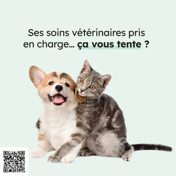 Avez vous pensé à assurer la santé de votre animal?