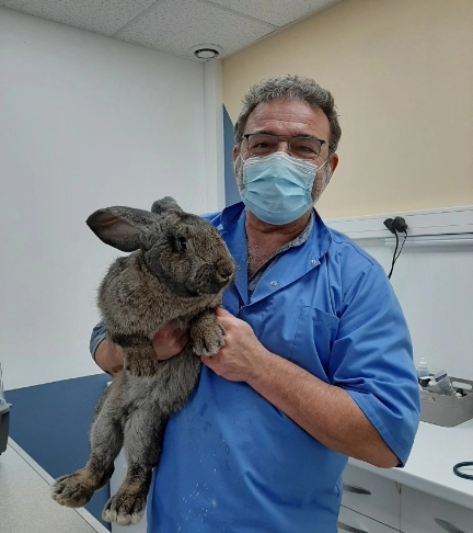 comportement de votre animal