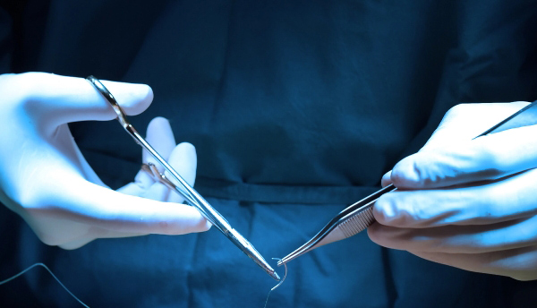 Chirurgie animalier
